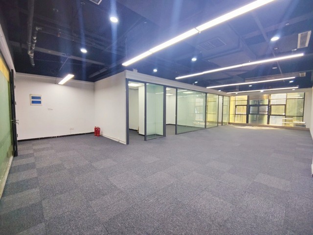 泰安大穗小麦种子有哪些